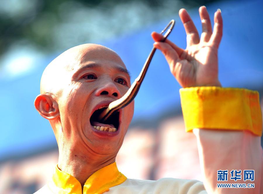 （晚報）（4）與蛇共舞