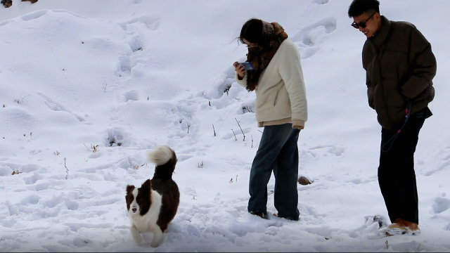 香格里拉旅游熱:游客感受春雪浪漫