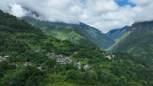 維西縣中路鄉(xiāng)臘八山村：致富路上蘭花香