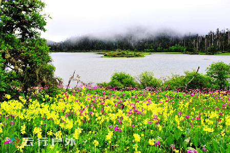 7月暑期到香格里拉高山上的秘境—碧沽天池玩