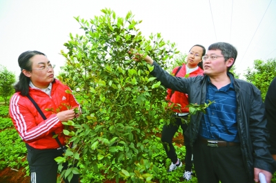 片區(qū)扶貧的新探索——武陵山片區(qū)脫貧攻堅紀(jì)實