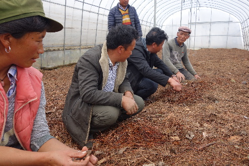 田間學(xué)校授課忙