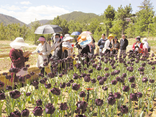 科技活動周：走進(jìn)植物園長知識開眼界