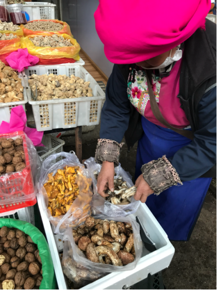 香格里拉野生菌俏銷市場