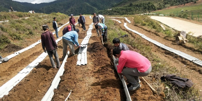 叁疆公司建藥材基地促農(nóng)民增收