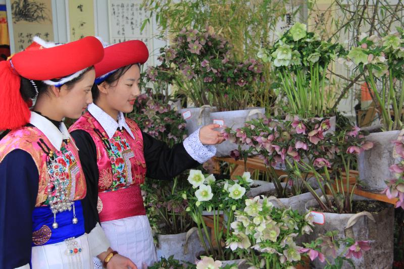 2019年香格里拉第五屆春季花展暨書畫奇石展開展