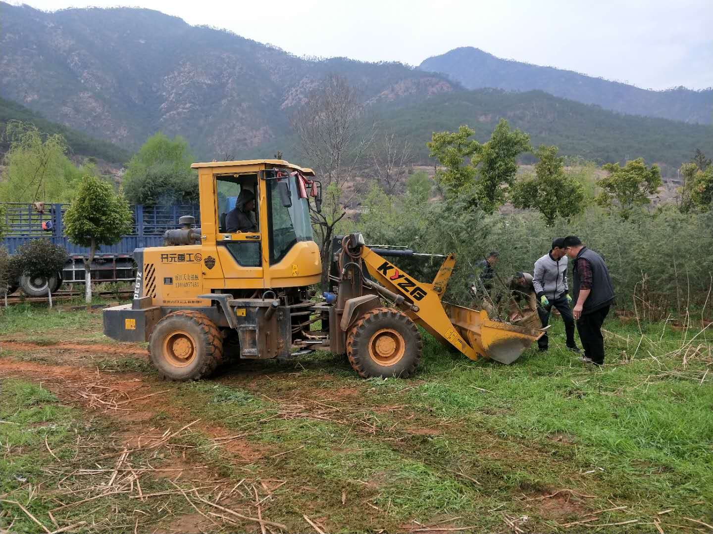 建設生態(tài)寺院，綠化生態(tài)環(huán)境