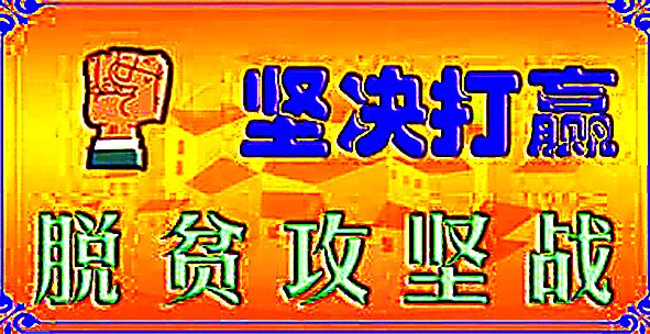 維西縣葉枝鎮(zhèn)拉波洛村脫貧攻堅紀(jì)實