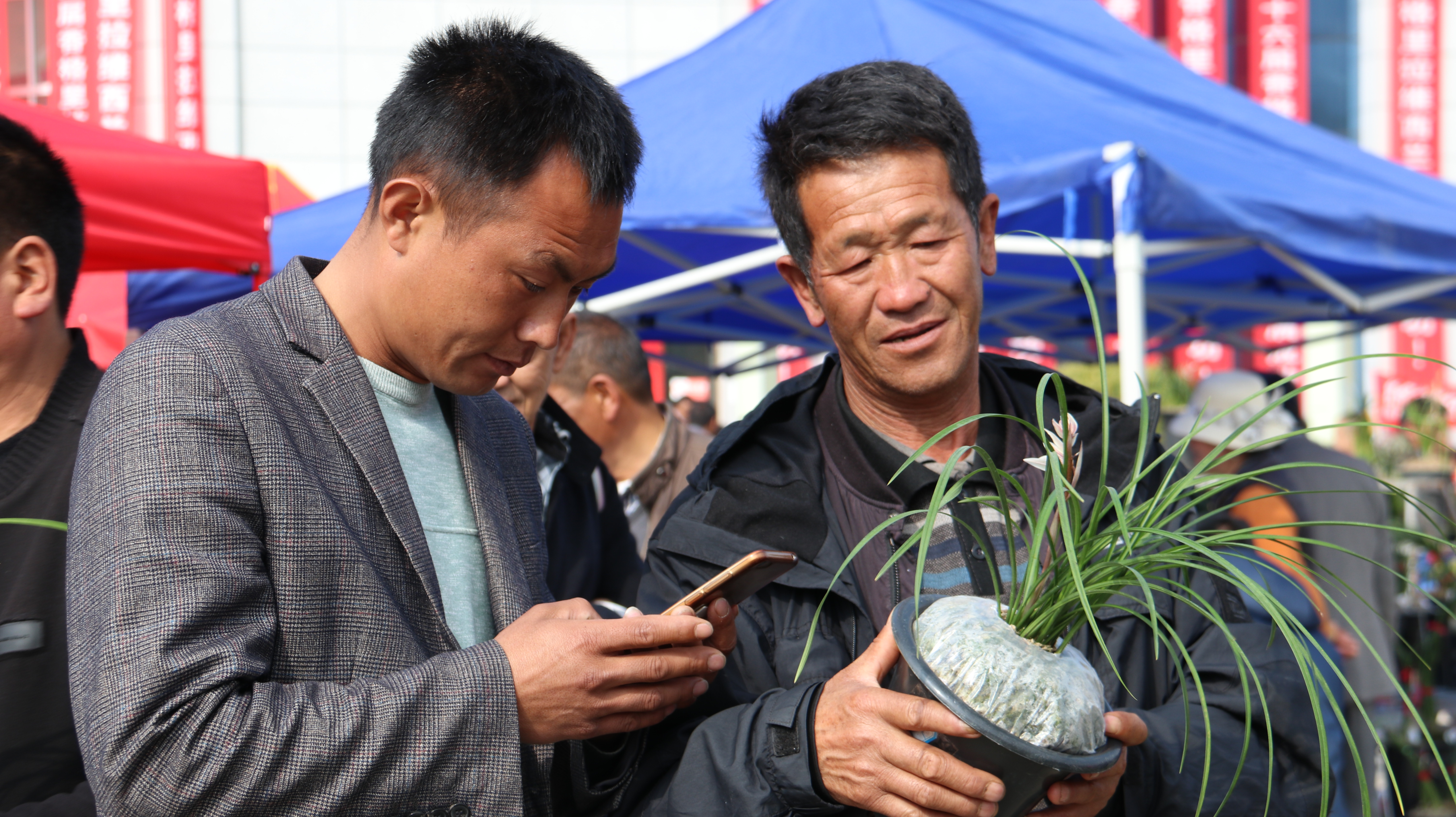 蘭花飄香百姓歡