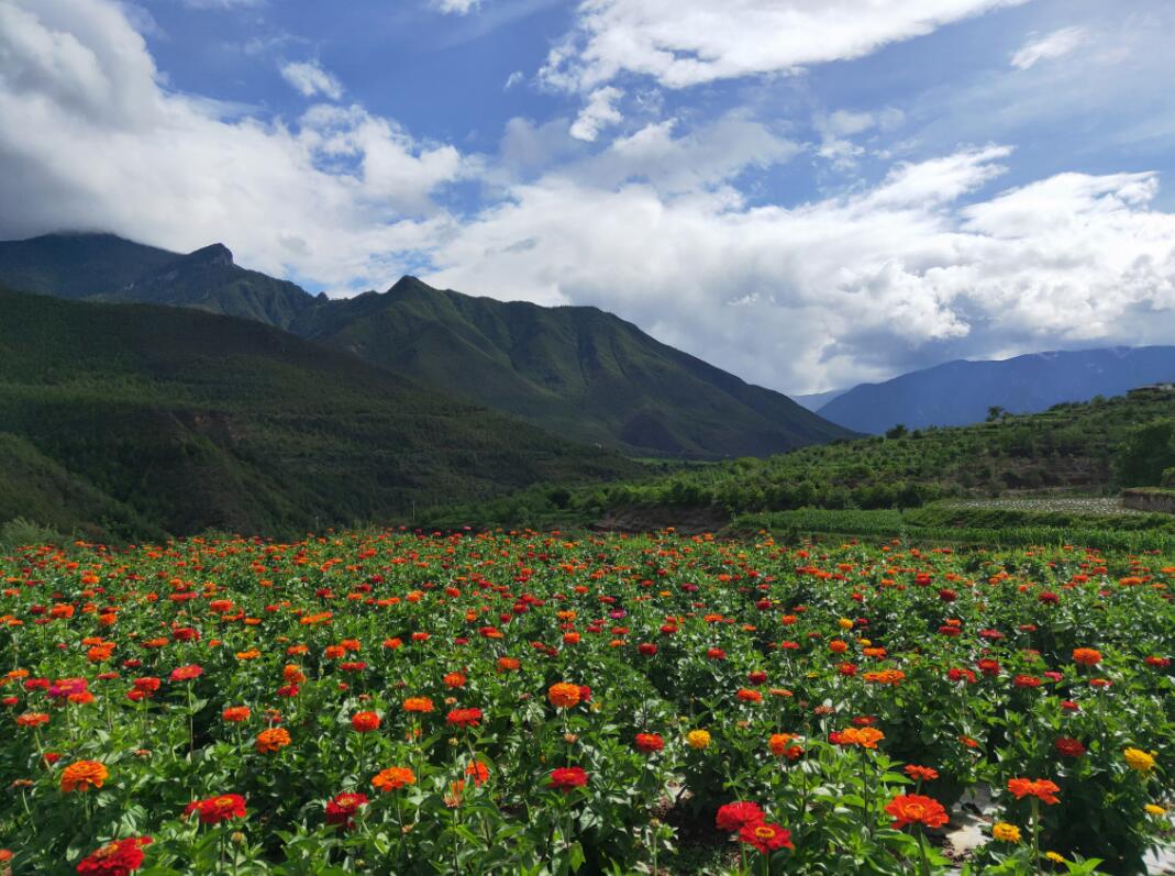 湯滿村持續(xù)推進(jìn)鄉(xiāng)村旅游振興本地經(jīng)濟(jì)戰(zhàn)略