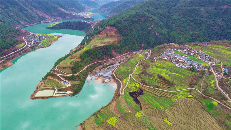 春風(fēng)又綠江兩岸