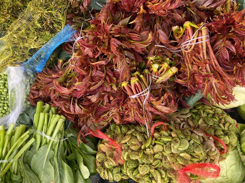 吃貨們有福了，?維西山茅野菜扎堆上市