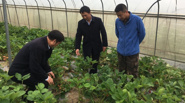 中國建設(shè)銀行建行駐迪慶分行紀(jì)檢組開展專項督查工作