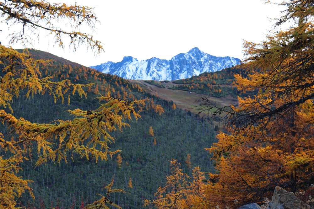 白馬雪山童話