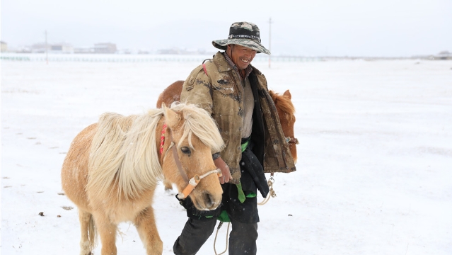 來了！來了！2021年香格里拉第一場雪終于來了！