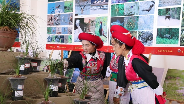 迪慶影像生物多樣性攝影展和香格里拉第六屆春季花展開(kāi)幕