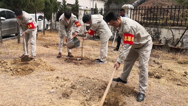 大唐香電公司義務(wù)植樹(shù)添新綠