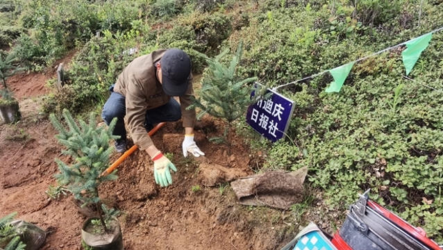 迪慶日報社參加秋季義務植樹