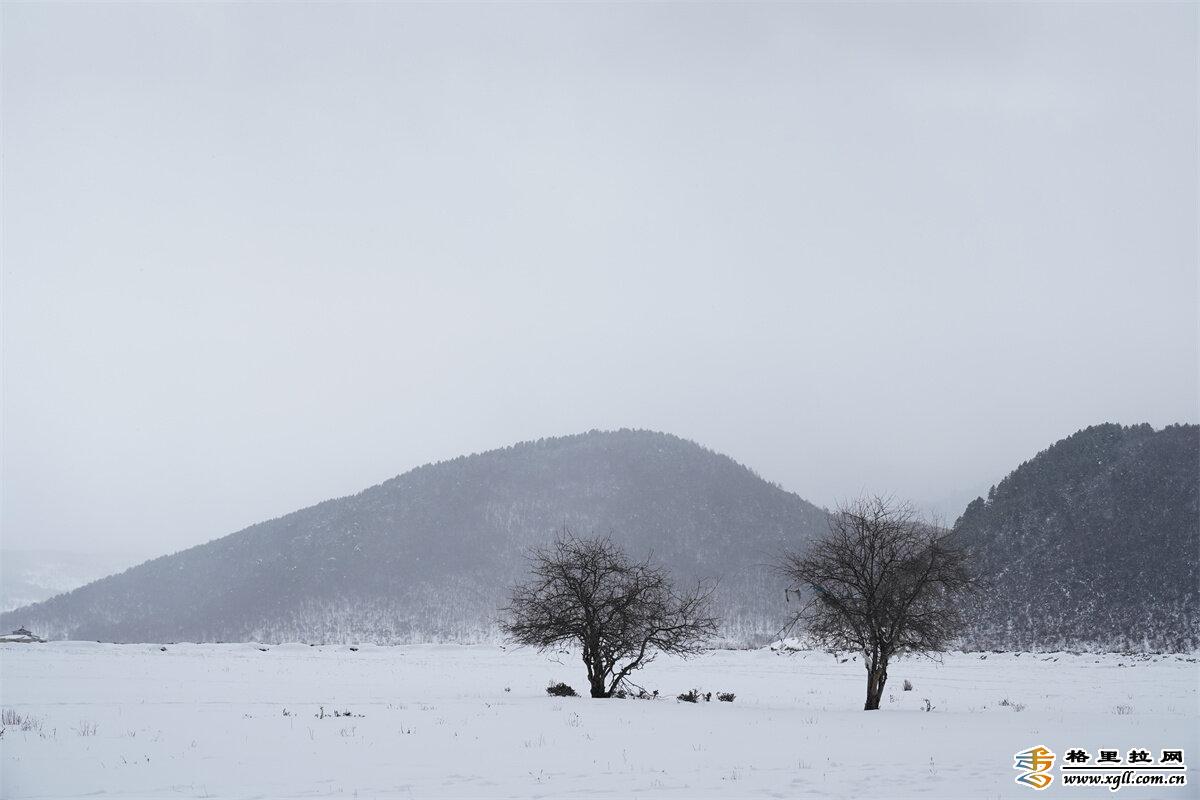 【網(wǎng)絡中國節(jié)?春節(jié)】香格里拉小中甸雪中春節(jié)別樣美