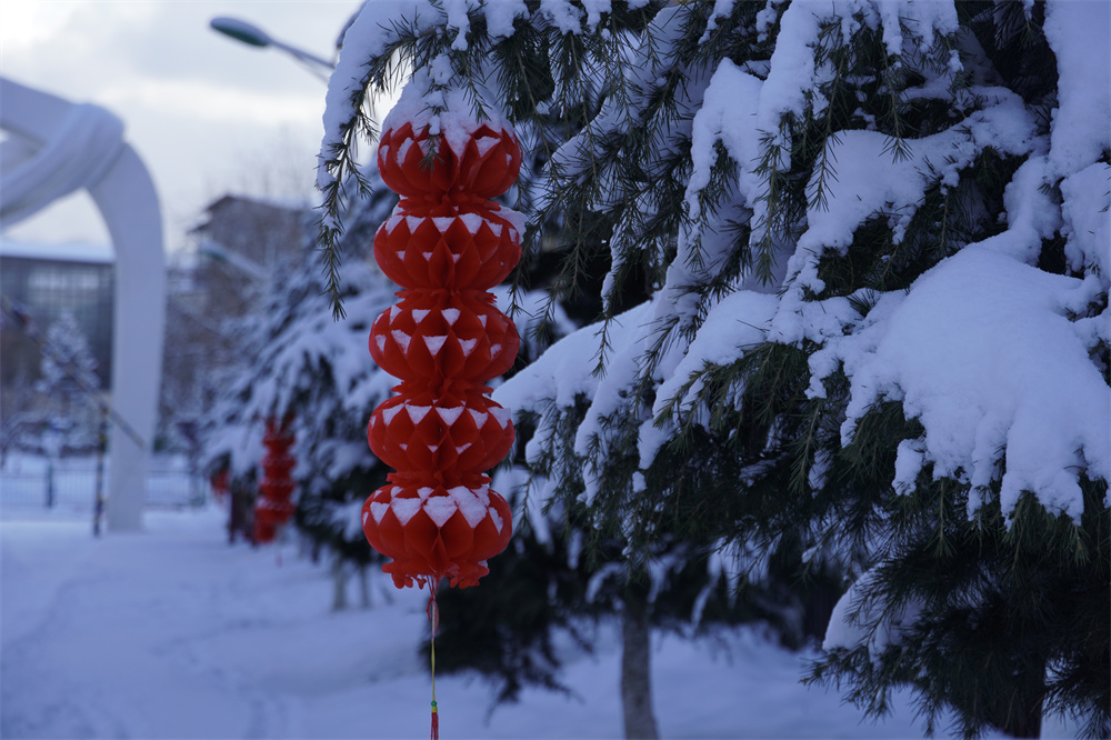 【網(wǎng)絡(luò)中國節(jié)?春節(jié)】瑞雪兆豐年！迪慶下雪了！