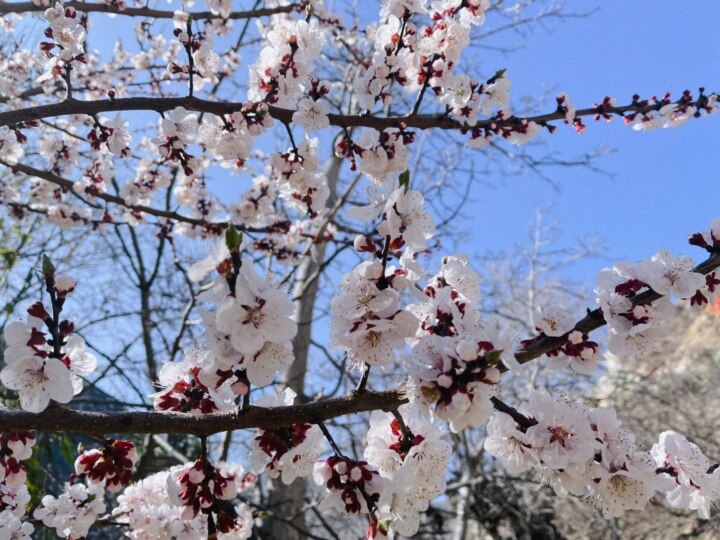 春風(fēng)拂綠幸福村