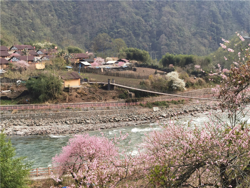 獨(dú)龍江鄉(xiāng)迪政當(dāng)村 (6).jpg