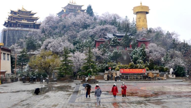 在雪景與春景中遇見香格里拉