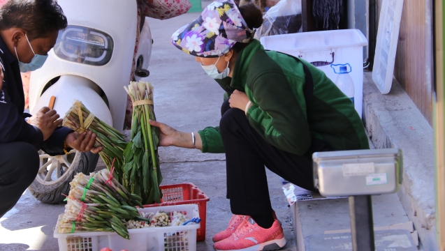 @吃貨們！香格里拉野菜上市了！快來嘗鮮