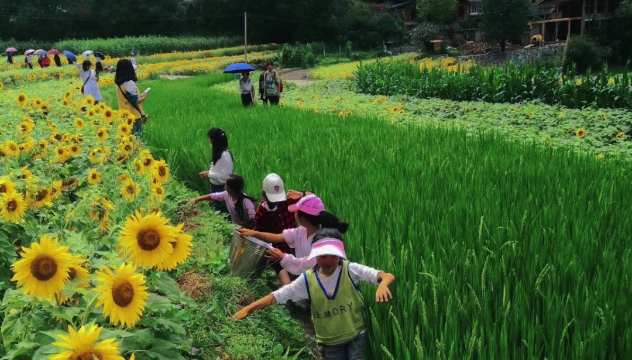 迪慶人民“就地過節(jié)”在家門口擁抱“詩(shī)和遠(yuǎn)方”