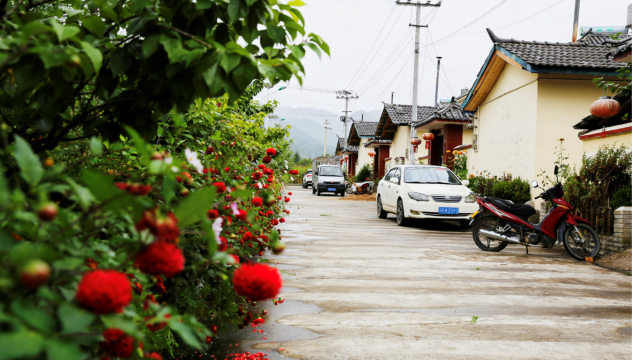 迪夏村民小組：生態(tài)移民新村景色美