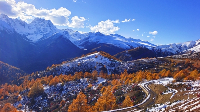 【香格里拉 · 秋】秋天最浪漫的邂逅白馬雪山