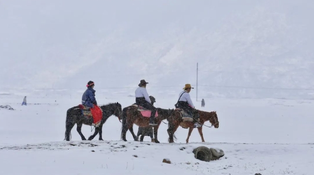 約嗎?去香格里拉這個(gè)春天飄雪的地方