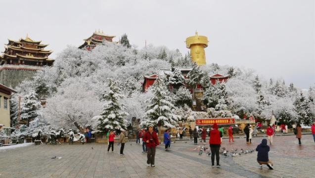 有一種叫云南的生活丨香格里拉春日有雪