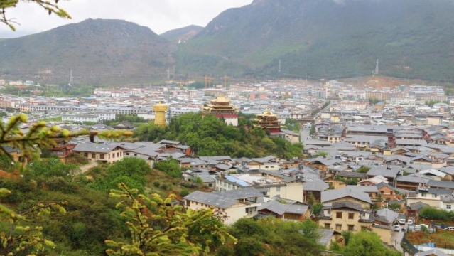 走進香格里拉雨后的山林