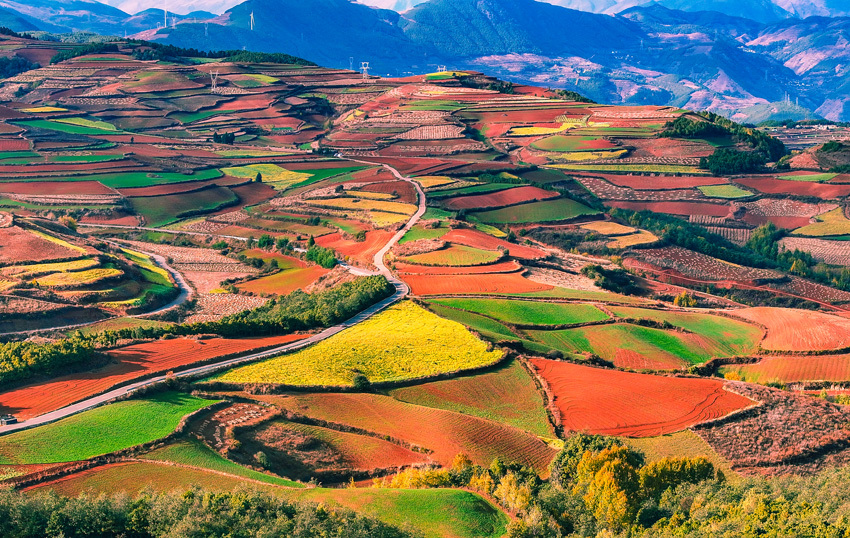 2云南東川紅土地美景。葉志剛攝.jpg?x-oss-process=style/w10