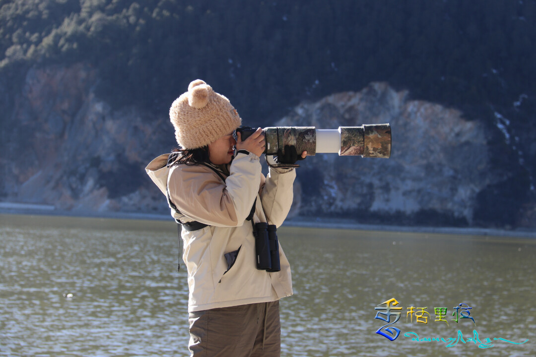 冬日香格里拉——踏雪觀鳥好去處