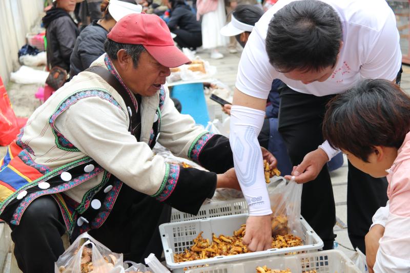 野生菌上市