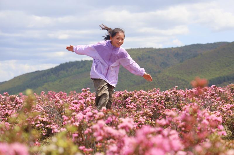 花之旅·花樣生活四季游迪慶——香格里拉的“花語世界”