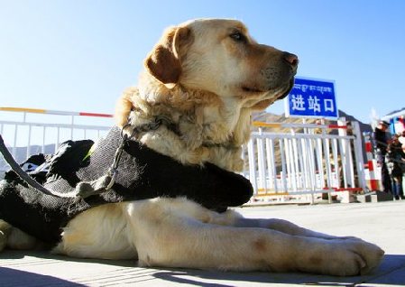 客流較少時科比總是這樣休息