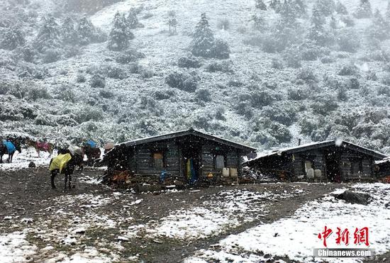 四川甘孜州稻城亞丁九月飄雪銀裝素裹(圖)