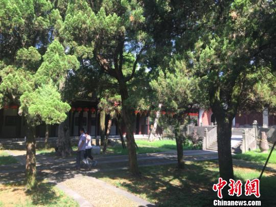 儒風(fēng)雅韻下的浙江衢州：傳承千年風(fēng)華 續(xù)寫瑰麗傳說